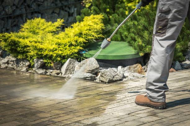 Best Animal Enclosure Cleaning  in Kinnelon, NJ