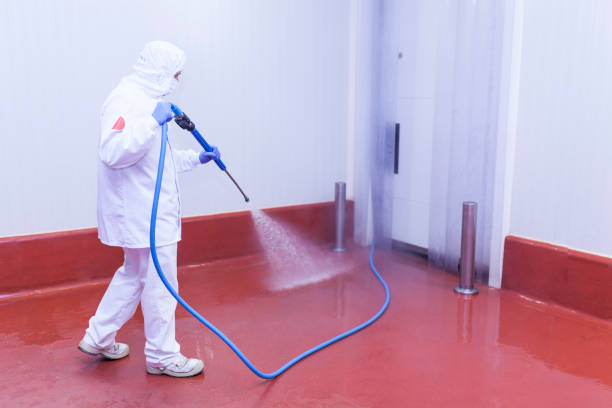 Best Building Exterior Washing  in Kinnelon, NJ